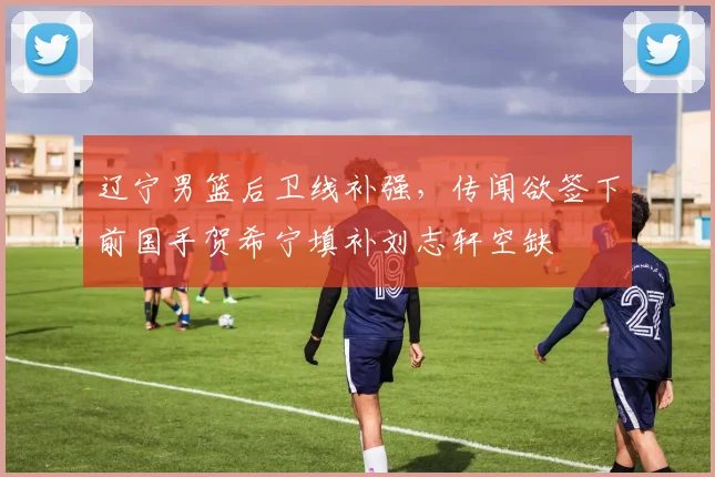 辽宁男篮后卫线补强，传闻欲签下前国手贺希宁填补刘志轩空缺