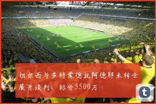 切尔西与多特蒙德就阿德耶米转会展开谈判,标价5500万