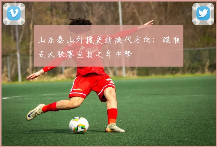 山东泰山外援更新换代方向:瞄准五大联赛当打之年中锋